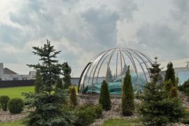 Голубая ель в хвойной композиции на участке